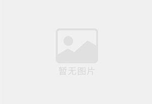盐酸黄连素